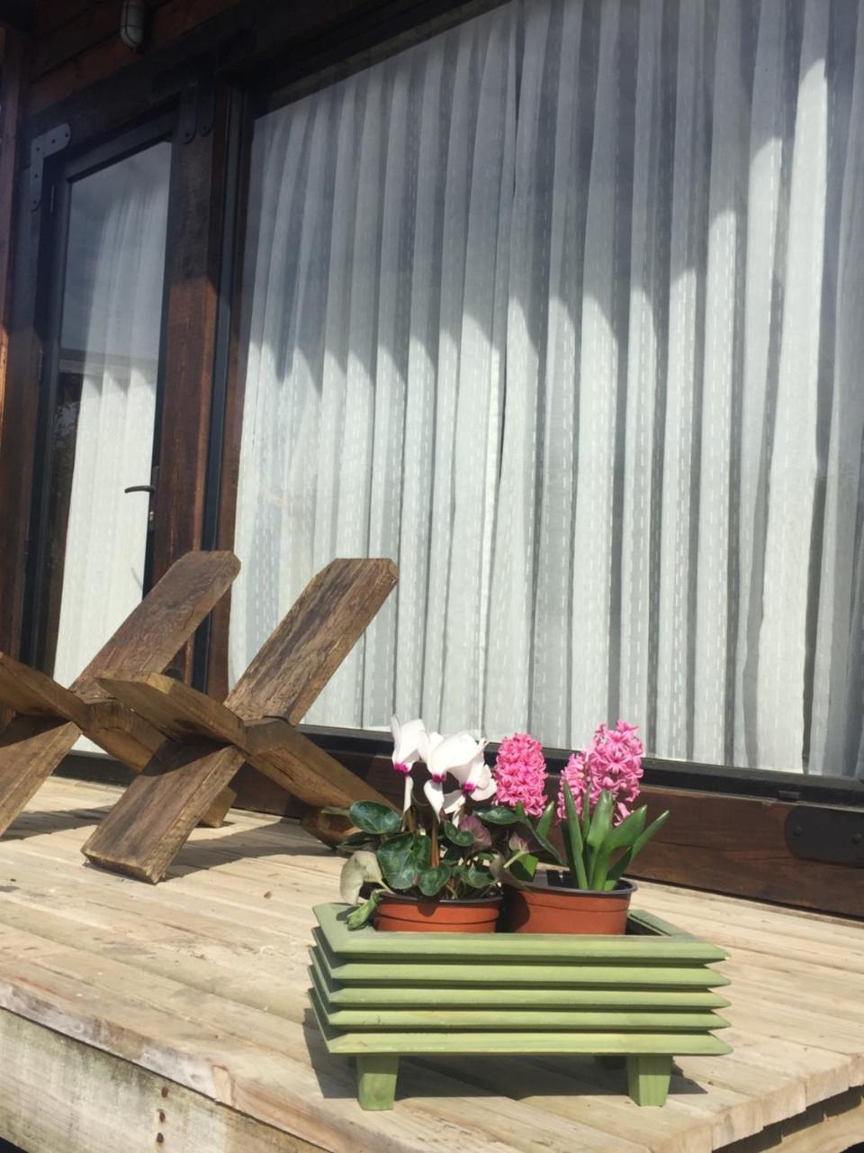 Palo Santo Pichilemu Exterior photo