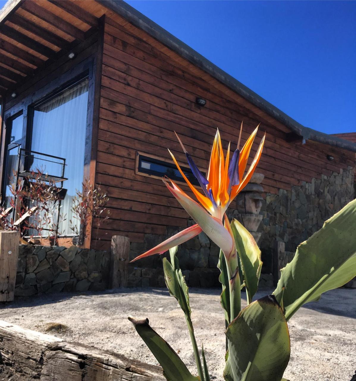 Palo Santo Pichilemu Exterior photo